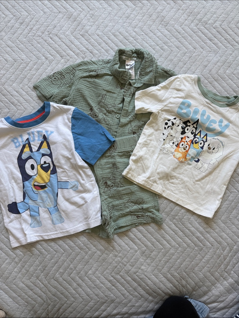 Bluey outfit bundle
